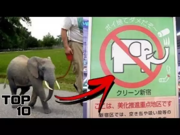 Video: Top 10 Insane Laws In Japan